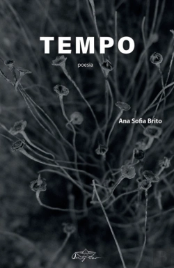Bertrand.pt - Tempo