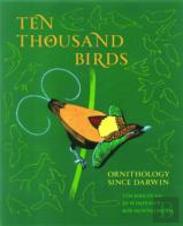 Ten Thousand Birds