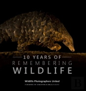 Ten Years Of Remembering Wildlife