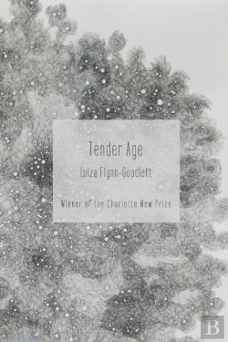 Bertrand.pt - Tender Age