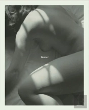 Tender