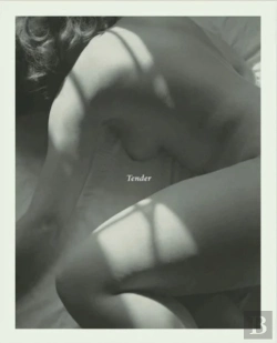 Bertrand.pt - Tender