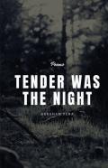 Tender Was The Night