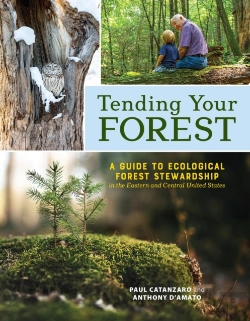 Bertrand.pt - Tending Your Forest