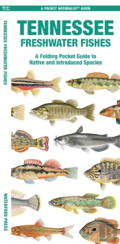Tennessee Freshwater Fishes