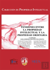 Tensiones Entre La Propiedad Intelectual Y La Propiedad Ordinaria