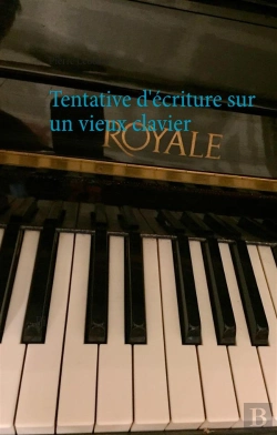 Bertrand.pt - Tentative D Ecriture Sur Un Vieux Clavier