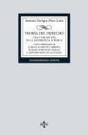 Teoria Del Derecho
