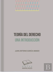 Teoria Del Derecho Una Introduccion