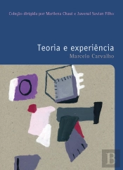 Teoria E Experiência