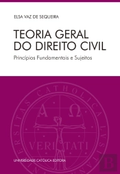 Teoria Geral Do Direito Civil. Princípios Fundamentais E Sujeitos