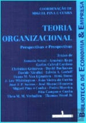 Teoria Organizacional