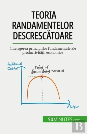 Teoria Randamentelor Descrescatoare : Întelegerea Principiilor Fundamentale Ale Productivitatii Economice