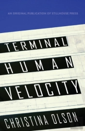 Terminal Human Velocity