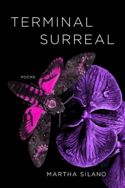 Bertrand.pt - Terminal Surreal