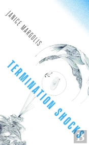 Termination Shocks