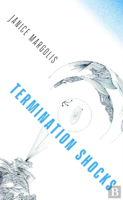 Bertrand.pt - Termination Shocks