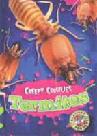 Termites