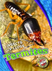 Termites