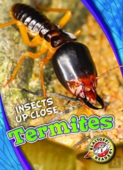 Bertrand.pt - Termites