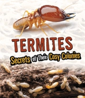 Termites