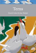 Terns
