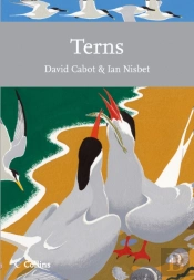 Terns