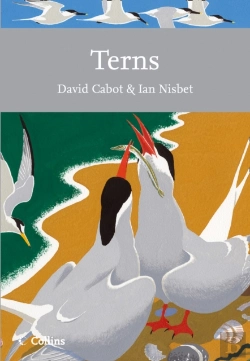 Bertrand.pt - Terns