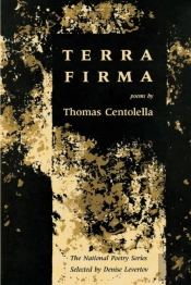 Terra Firma