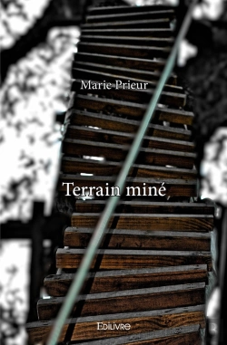Bertrand.pt - Terrain Miné