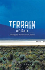 Terrain Of Salt