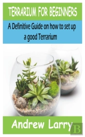 Terrarium For Beginners