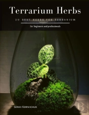 Terrarium Herbs
