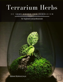 Bertrand.pt - Terrarium Herbs