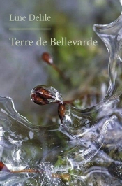 Terre De Bellevarde