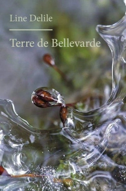 Bertrand.pt - Terre De Bellevarde