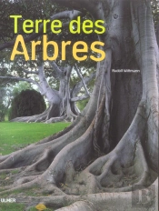 Terre Des Arbres