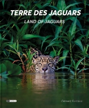 Terre Des Jaguars