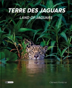 Bertrand.pt - Terre Des Jaguars