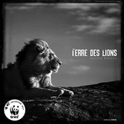 Bertrand.pt - Terre Des Lions