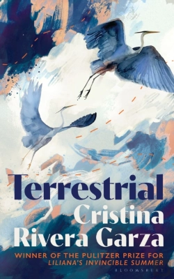 Bertrand.pt - Terrestrial