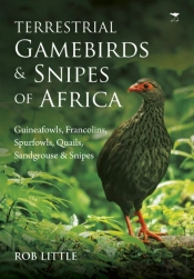 Terrestrial Gamebirds & Snipes Of Africa