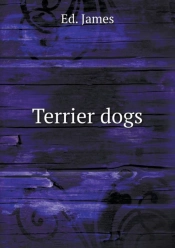 Terrier Dogs