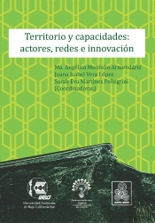 Territorio Y Capacidades: Actores, Redes E Innovación