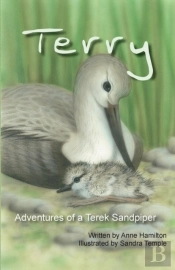 Terry Adventures Of A Terek Sandpiper