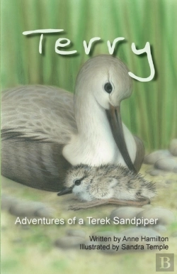 Bertrand.pt - Terry Adventures Of A Terek Sandpiper