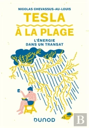 Tesla A La Plage - L'Energie Dans Un Transat