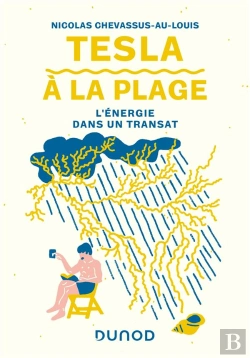 Bertrand.pt - Tesla A La Plage - L'Energie Dans Un Transat