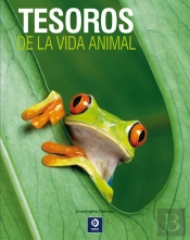 Tesoros De La Vida Animal