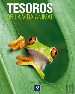Bertrand.pt - Tesoros De La Vida Animal